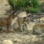 5c8a39682000009e046ee1d7