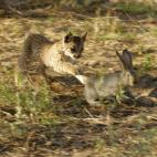 5c8a3968230000040122d38f