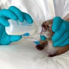 5c8a39692500000704c8c40b