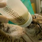 5c8a3969260000e804fe12b9