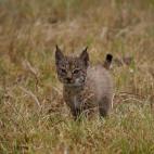 5c8a39692400006d054b959a