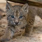 5c8a396a260000f903fe12bb