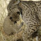 5c8a396b2400000a05a2cdce