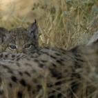 5c8a396b360000c81a6b332a