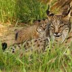 5c8a396b2500000704c8c40d