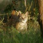 5c8a396d2500000a0680de61