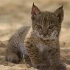 5c8a396e2300007f0122d395