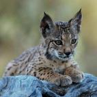 5c8a396e2400000a05a2cdd5