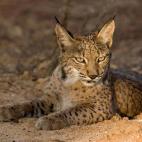 5c8a396e2000009e046ee1e3