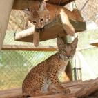 5c8a396f2400006d054b95ad