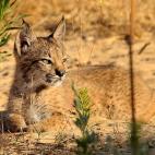 5c8a39702400006b054b95af