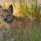 5c8a39712400005405a2cddb