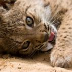 5c8a39722400005405a2cddd