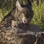 5c8a39722400000a05a2cddf