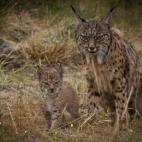 5c8a39733b000054066bb589