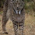 5c8a39732300007f0122d399