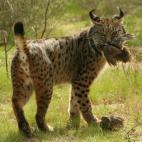 5c8a397436000006186b3336