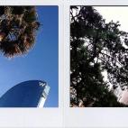 5c8a8df83b000054066c1dc3