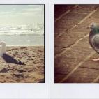 5c8a8df92500000a068148c8