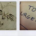 5c8a8dfa2300005300e6b597