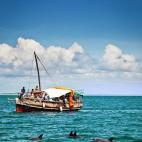 Aunque Kenia sea un país famoso por sus safaris, sus parques con elefantes y jirafas y sus tribus, lo cierto es que también tiene un parque marino. Es el Parque Nacional Marino de Kisite-Mpunguti, cerca de la frontera con Tanzania. Llegar hast...
