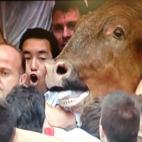 5c8b7eef360000c81a6d3b15