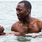 Moonlight arrebat&oacute;, literalmente y casi de las manos, el Oscar a la Mejor pel&iacute;cula a La la land. La cinta trata la vida de un joven afroamericano cuyo personaje logr&oacute; conectar emocionalmente con los espectadores, y aborda el...