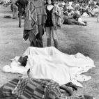 5c8ad40a2400006d054c87c6