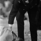 5c8ad40a20000043046fd39d