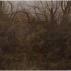 5c8b1e602000004304702f84