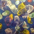 5c8b1e612500000d04ca15fa