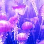 5c8b1e6122000051001a51ee