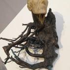 5c8b1e652400006b054ce476