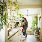 Las plantas dan frescura y luminosidad a la casa, pero pueden convertirse en una fuente de moho. Para evitarlo, hay que colocarlas en un lugar en el que el aire circule bien.