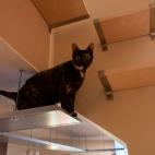 5c8b5791200000430470856d