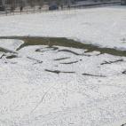 5c8b66ea3b000070066d7fea