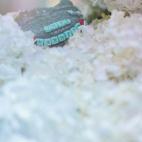 5c8b6afc250000e203ca9dad