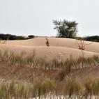 La República de Níger, penúltima en la clasificación del Índice de Desarrollo Humano (IDH) en 2013, es un territorio árido, del cual sólo la zona sur es explotable. Los habitantes practican la agricultura y la ganadería, sin por ello lle...