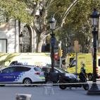 5c8a6756360000c81a6b6f7d