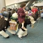 5c8b58ff3b000054066d5c5d