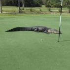 5c8a9f062300000401235a87