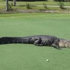 5c8a9f063b000072066c391d