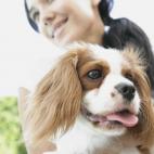 Un estudio publicado en el American Journal of Cardiology demostró que para las personas con enfermedades crónicas, el tener una mascota está vinculado con la capacidad del corazón de adaptarse a diferentes circunstancias que pueden afectar ...