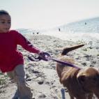 El riesgo de sufrir de alergias de los niños baja si vivieron con una mascota durante la infancia, de acuerdo a un estudio publicado el año pasado en la revista médica Clinical & Experimental Allergy. Los investigadores concluyeron que este r...