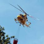 5c8a556c230000d50422f922