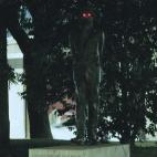 5c8b3cd9240000f404a4693d