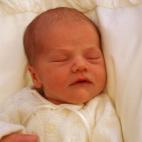 5c8abcf02500000a0681a80a