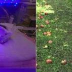 "Esta es mi hija, Bay Olivia. Nació ocho semanas antes de lo previsto. Tuvo que pasar muchas dificultades que la mayoría de los bebés prematuros han de superar. Durante el primer año de su vida sufrió reflujo gastroesofágico. También tuvo...