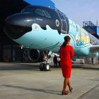 5c8aa0332300005300e6d544