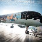 5c8aa0343b000070066c3c3e